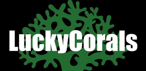 Lucky Corals logo