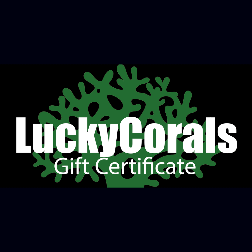 LuckyCorals Gift Certificate